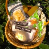 有機レモンの詰め合わせ　セット